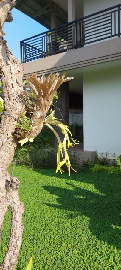 أوبود Indraprastha Cottage Ubud المظهر الخارجي الصورة